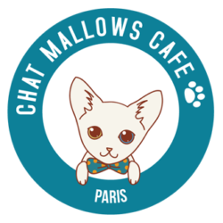 Chat Mallows Café